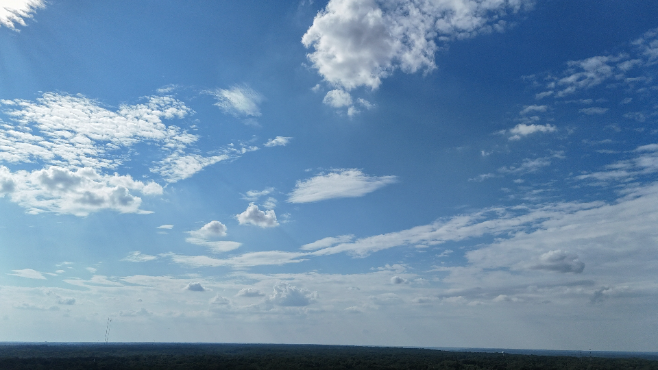Blue7