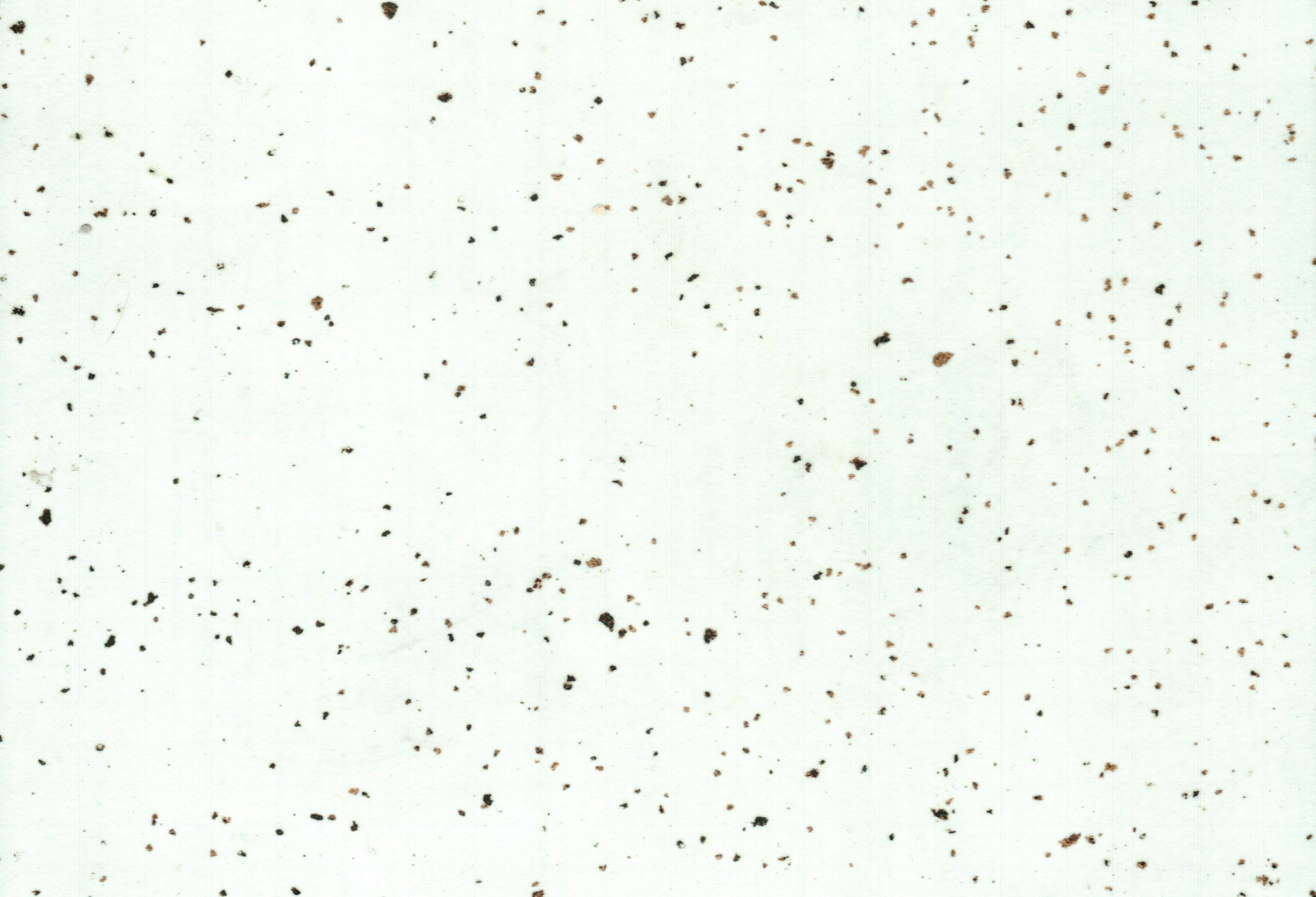 IMAG0027